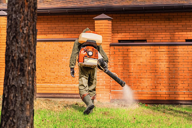 Trusted Cockroach Control service in Factoryville, PA - Nex Pest Control